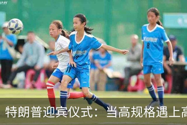特朗普迎宾仪式：当高规格遇上高玩意儿！